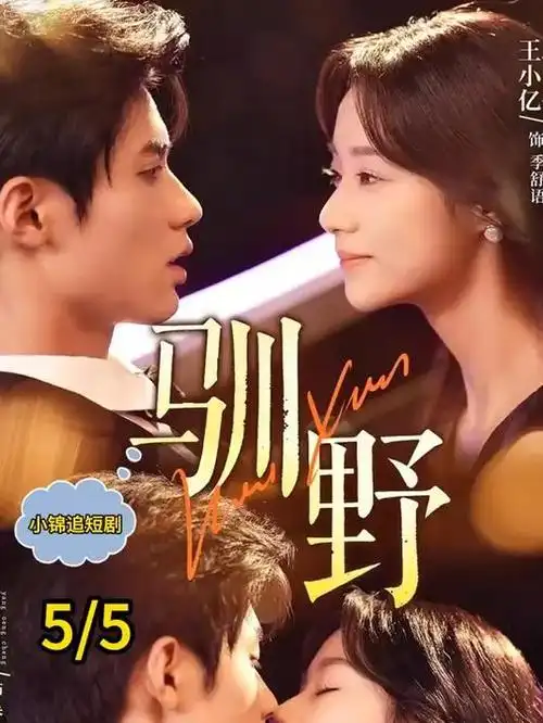 山那边是海 现实主义剧集全集